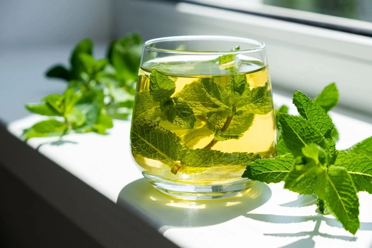 Peppermint Peppermint