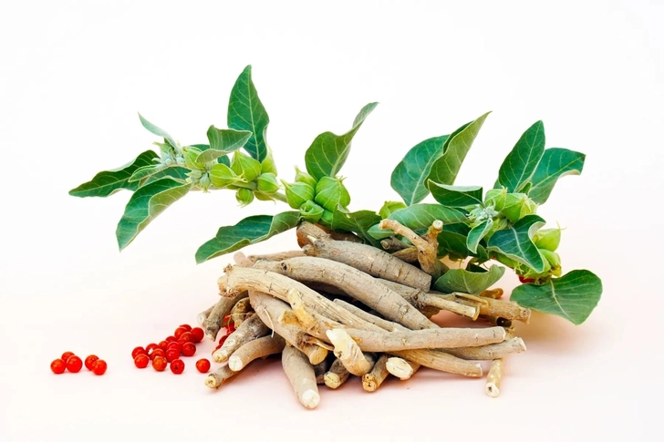 Ashwagandha Ashwagandha
