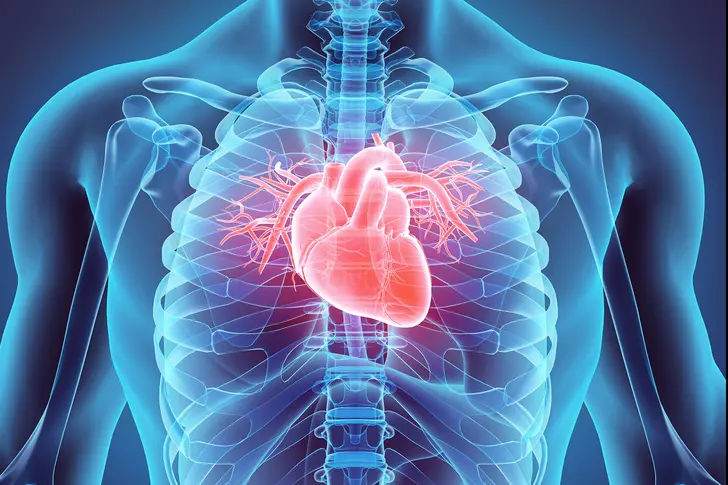 Why Is Your Heart Health Important?