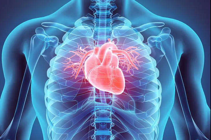 Why Is Your Heart Health Important? Why Is Your Heart Health Important?