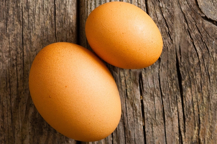 The Testicles Shrink The Testicles Shrink