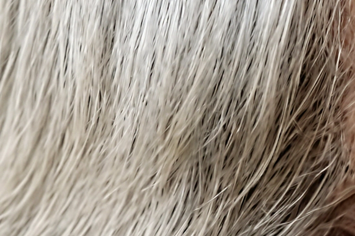 You're Going Gray