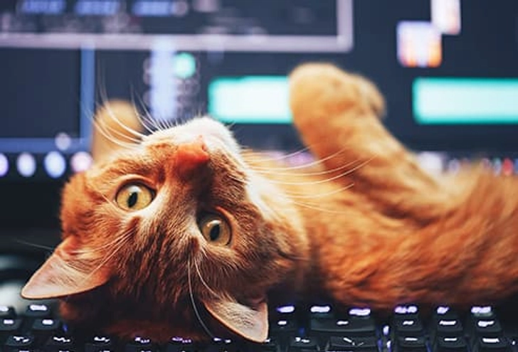 Computer Keyboard