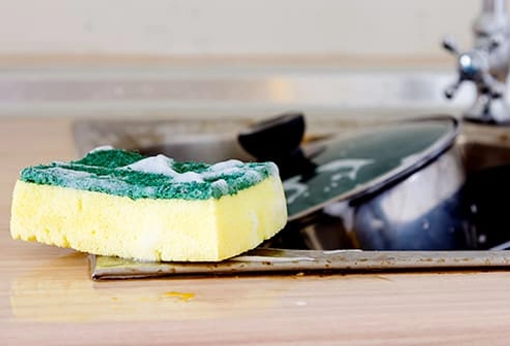 Dish Sponge