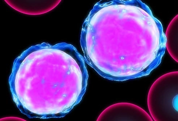 You Have Leukemia You Have Leukemia
