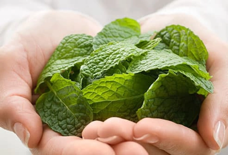 Does Peppermint Oil Work?