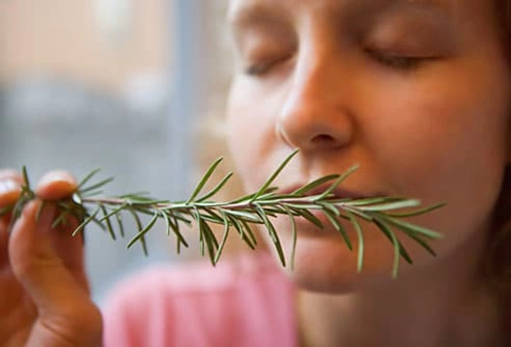 Health Concerns With Air Fresheners Health Concerns With Air Fresheners