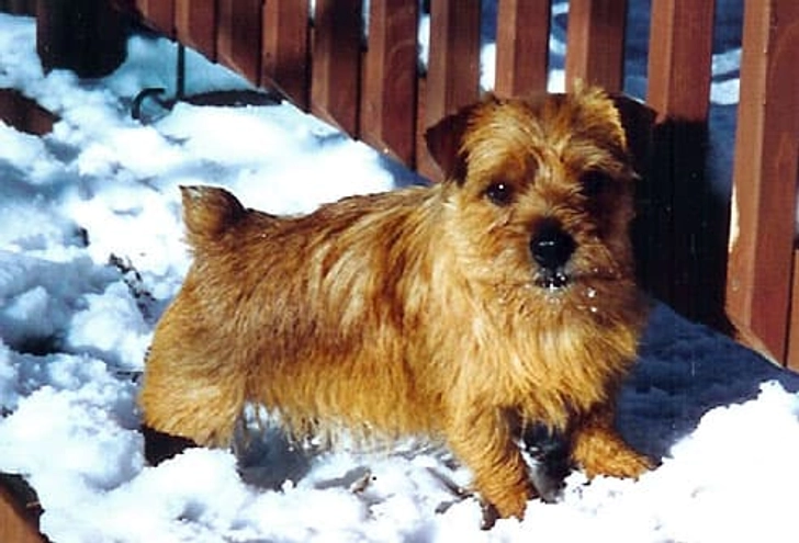 Murphy Murphy