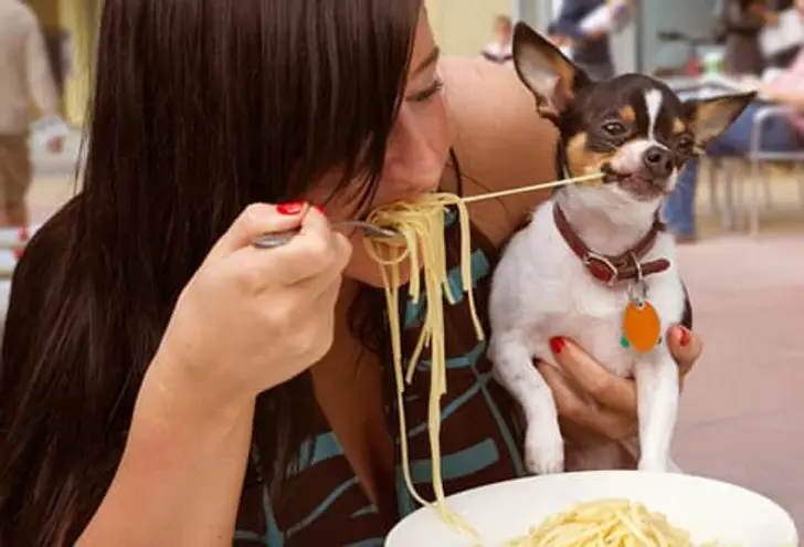 Pasta and Rice