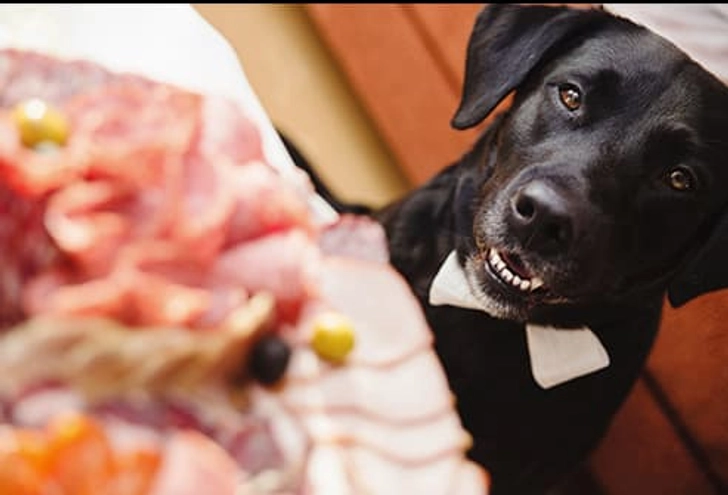 Meat