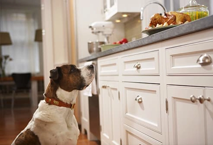 Holiday Foods to Share -- and Skip