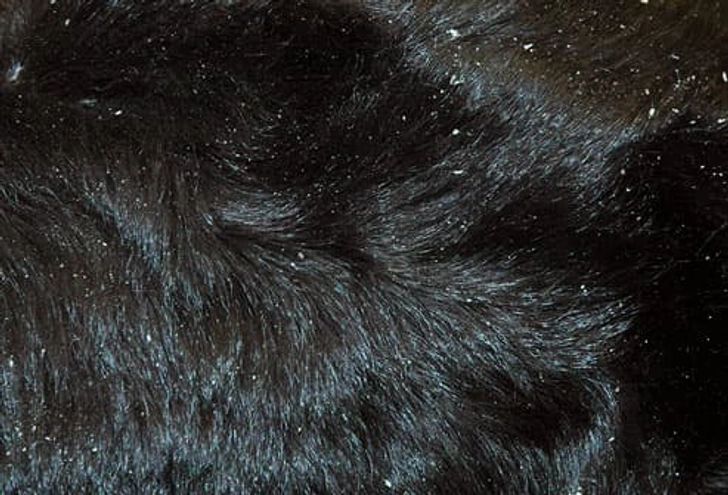 Dry, Flaky Skin