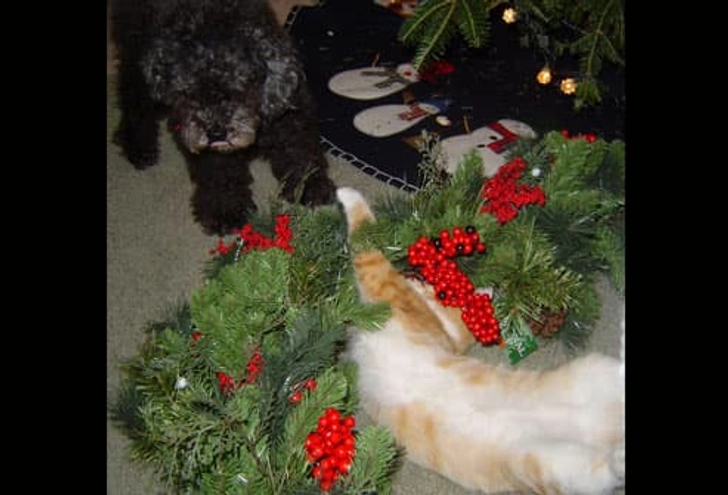 Kizzy and Ralphie J. Kizzy and Ralphie J.