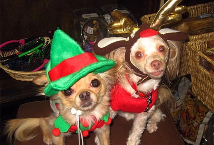 Tuffy and Munchie Tuffy and Munchie