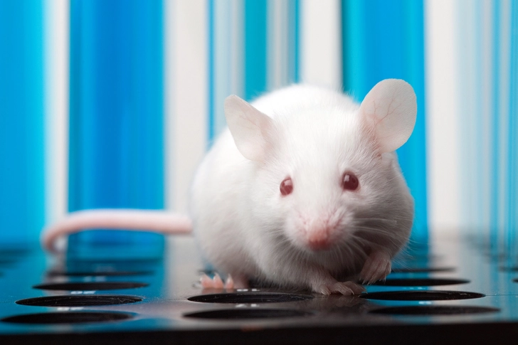 An Implant That Responds to Symptoms An Implant That Responds to Symptoms