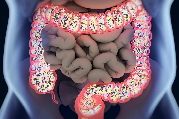 Going for Gut Health – With Your Diet