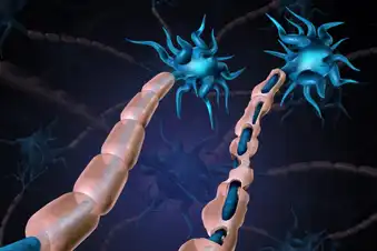 Drugs May Help Rebuild Myelin