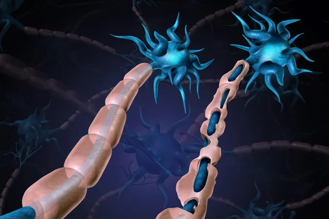 Neuromodulation for Myelin Repair