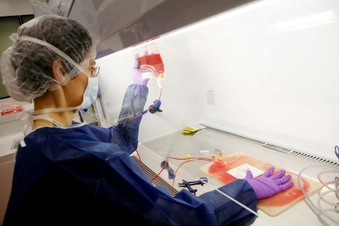 Stem Cell Therapy for Harmful Cells