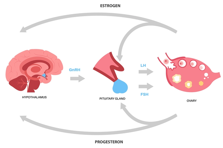 Other Hormone Therapies   