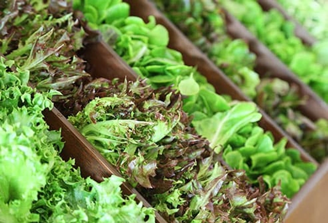Leafy Greens Leafy Greens