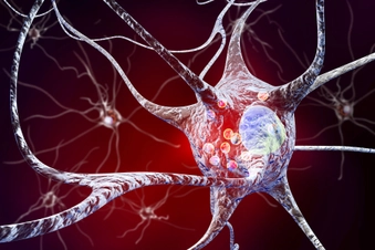 Neurological Illness Neurological Illness