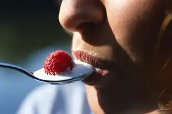 Yogurt Yogurt