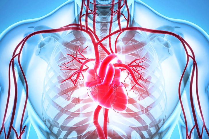 Heart Benefits Heart Benefits