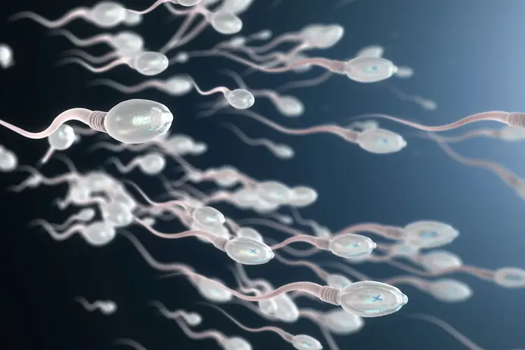 sperm