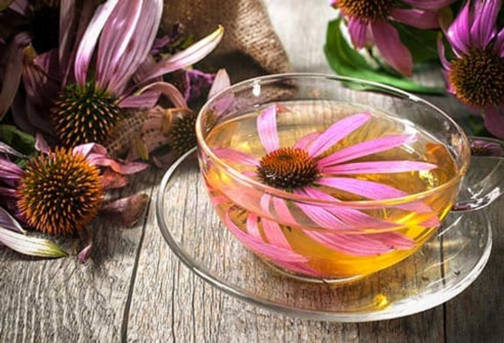 Echinacea