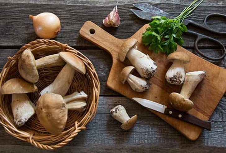 Porcinis’ Antioxidant Power