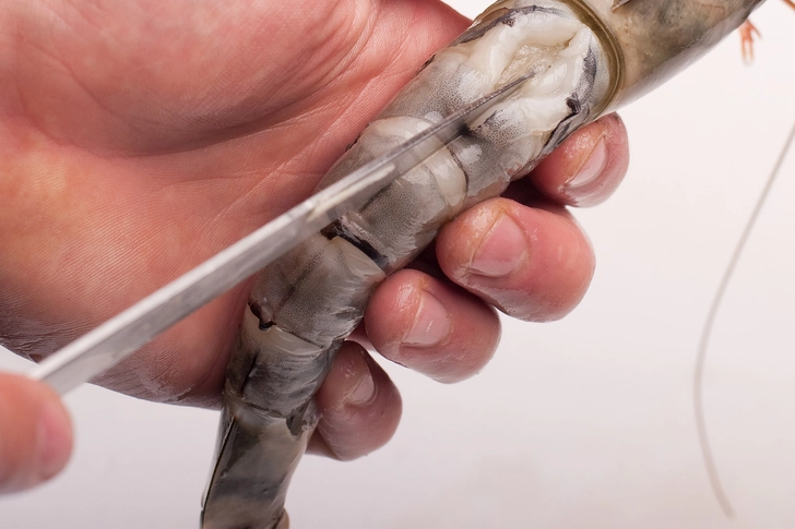 Can You Eat a Shrimp's Vein? Can You Eat a Shrimp's Vein?