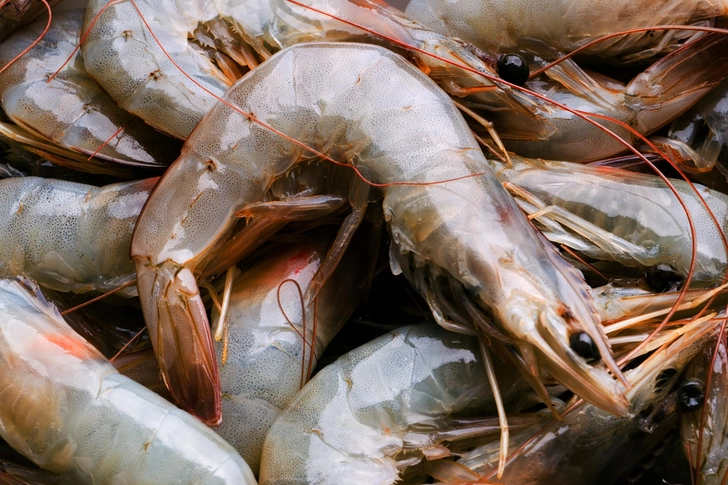 The Color of Shrimp The Color of Shrimp