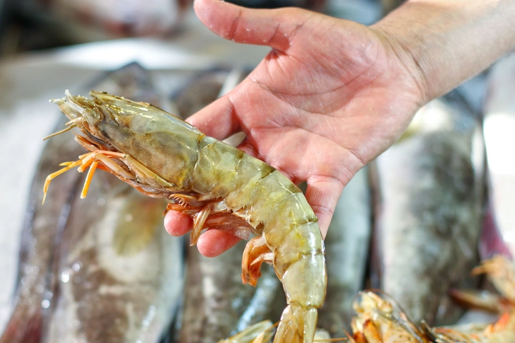 Sizing Up Shrimp Sizing Up Shrimp