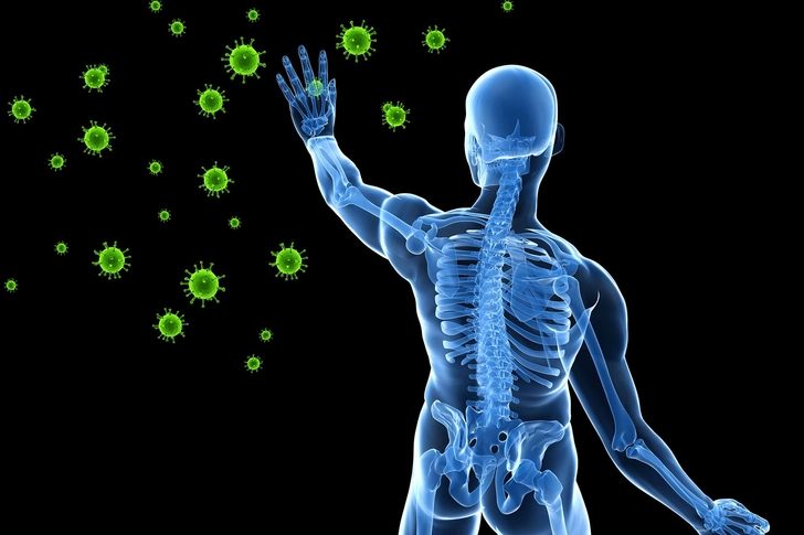 An Immune System Boost An Immune System Boost