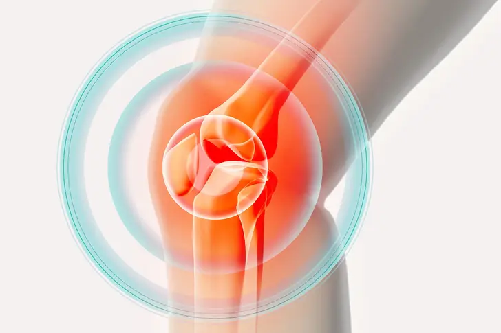 Knee