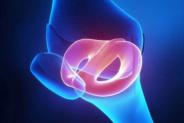 Meniscus Meniscus