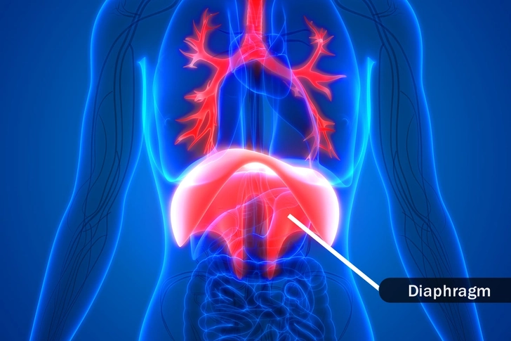 How Do You Breathe In and Out?