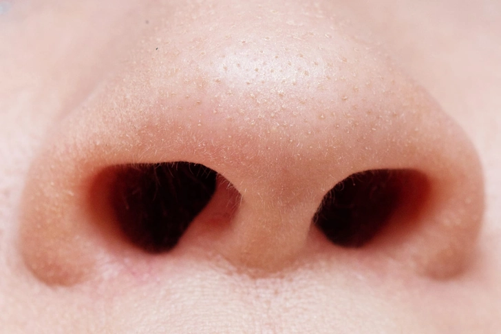 How Air Gets Into Your Lungs