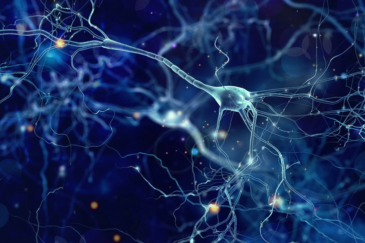 Brain Health