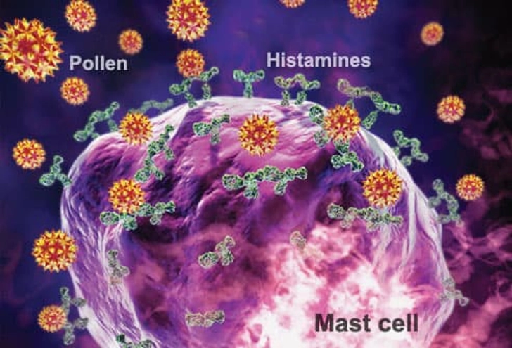 Histamines Hit the Scene