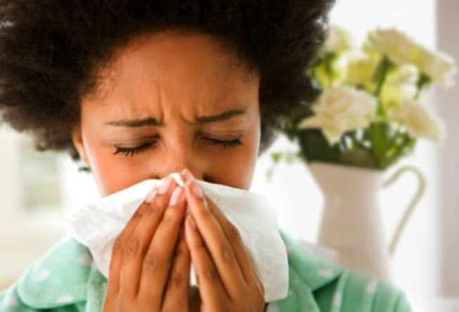 Cut Flowers Commonly Trigger Allergies Cut Flowers Commonly Trigger Allergies