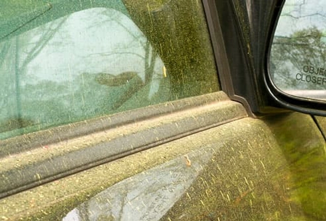 Pollen Counts Can Predict Bad Allergy Days Pollen Counts Can Predict Bad Allergy Days