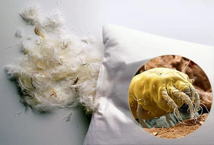 Remake Your Bed