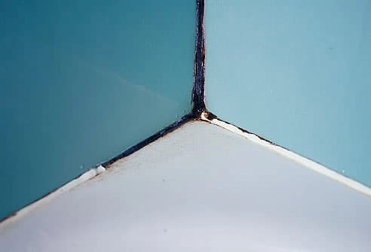 Wipe Out Mold