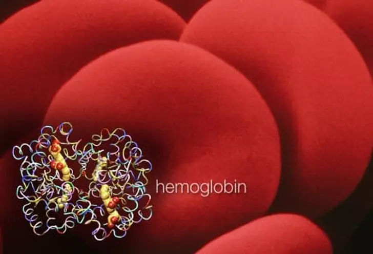 What Is Anemia?