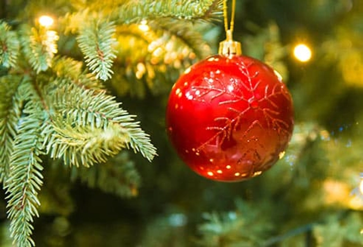 Christmas Trees