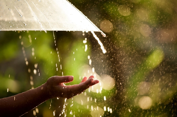 Rain