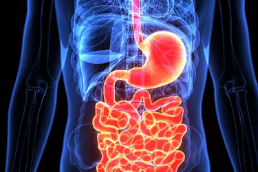 Ileus stops food and waste from moving through your digestive tract. (Photo Credit: iStock/Getty Images)