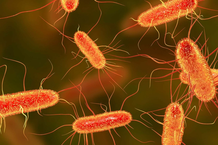 Bacteria and Viruses Bacteria and Viruses